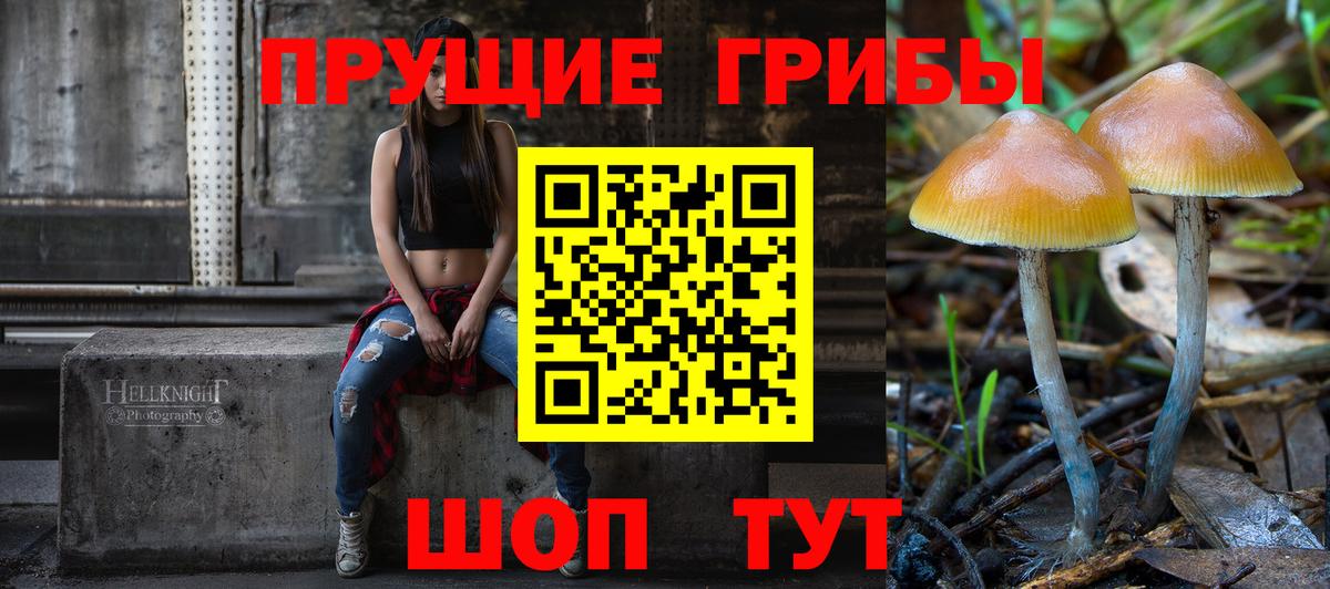 Курганинск  Галлюциногенные грибы Psilocybine cubensis  Галлюциногенные грибы ЛСД  Вход с VPN 